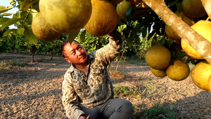 Kao Tho and the largest fruit tree model in Khoune district, Xiangkhouang. Photo: Quang Dung.