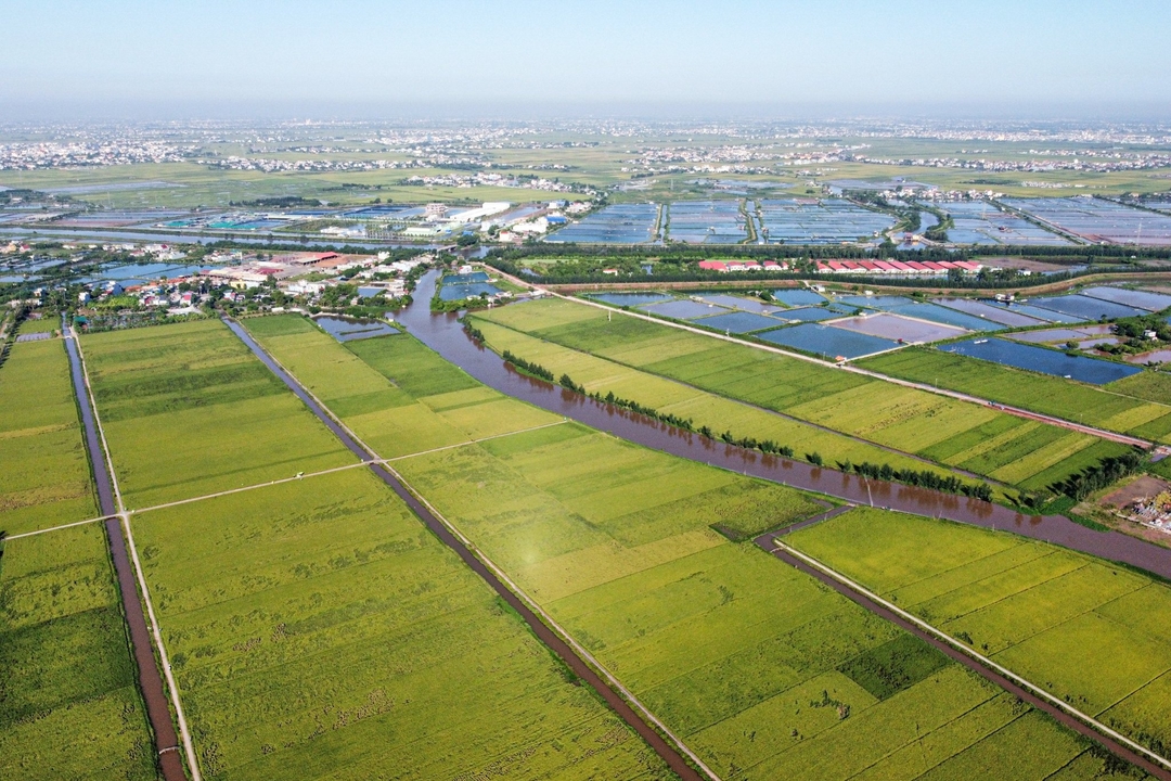 There have appeared billionaire farmers in Hai Duong, Hung Yen..., billionaire farmers' clubs in Thai Binh and high-tech farms throughout the region.