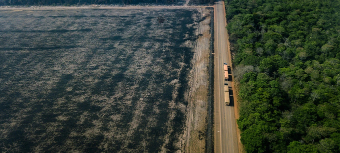 Burnt land in Pará state, Brazil, where wide tracts of the Amazon rainforest have been cleared for soya-bean production. Credit: Gustavo Basso