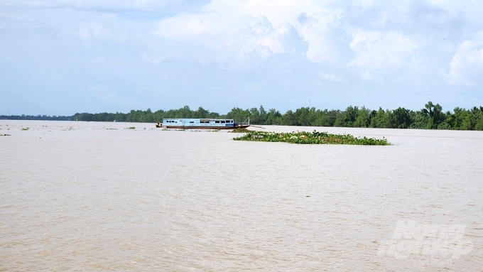 ĐBSCL là khu vực có vùng nước dồi dào, mỗi năm vùng được sông Mekong chuyển về từ 450 – 475 tỷ mét khối nước, tải theo khoảng 160 triệu tấn phù sa. Ảnh: Kim Anh.