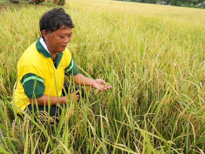 Anh Nguyễn Văn Tâm, thành viên HTX Phú Thọ: 'Từ nay tôi sẽ canh tác lúa, trồng cây ăn trái theo hướng sạch, dù có sự hỗ trợ của các chương trình hay không'. Ảnh: Hồng Thuỷ.