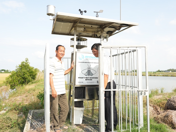 Hệ thống cảm ứng về giám sát sâu rầy ở đồng lúa HTX Phú Thọ. Ảnh: Hồng Thuỷ.