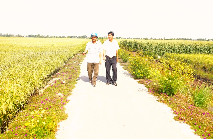 Anh Đinh Công Tánh, Chủ tịch Hội Nông dân xã Phú Thọ: 'Mô hình sản xuất lúa sạch cho thấy rất nhiều lợi ích lâu dài'. Ảnh: Hồng Thuỷ.