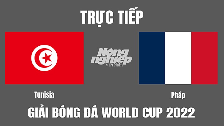 Trực tiếp bóng đá World Cup 2022 giữa Tunisia vs Pháp hôm nay 30/11/2022