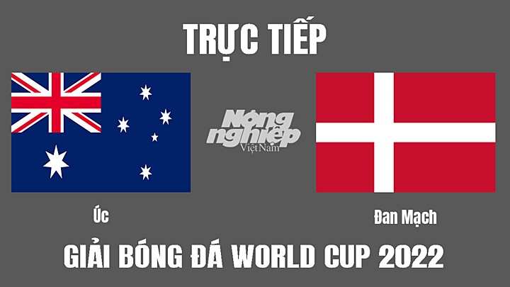 Trực tiếp bóng đá World Cup 2022 giữa Úc vs Đan Mạch hôm nay 30/11/2022