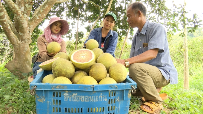 New opportunities can be found in Lao agriculture.