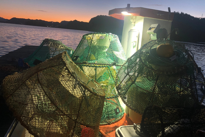 Fish Report - Sport Crab Trap Restrictions to Begin Sunday Evening