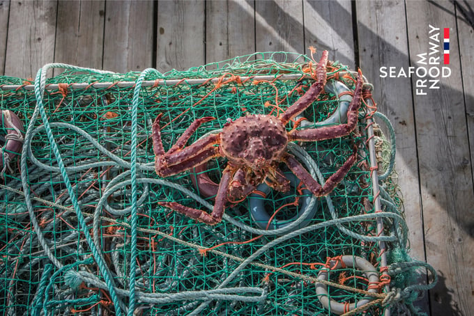 Sustainable fishing with brown crab traps in Norway