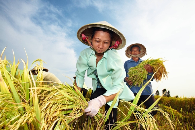 Cuộc khi 'Triệu phú Bayer' đã trở lại với tên gọi 'Triệu phú Nông gia Bayer' tiếp sức cho người trồng lúa chinh phục giấc mơ làm giàu. Ảnh: Minh Minh.