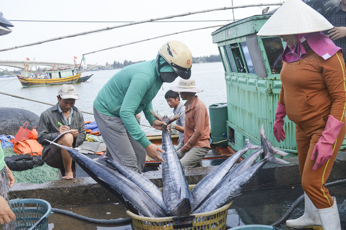 Việc thực hiện xác nhận, chứng nhận và truy xuất nguồn gốc thủy sản khai thác trong nước còn nhiều tồn tại. Ảnh: TL.