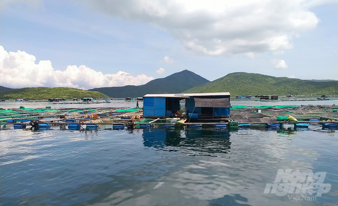 Shrimp farming model in Van Thanh commune, Van Ninh district, Khanh Hoa province.