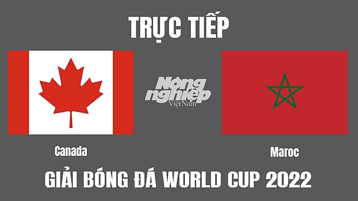Trực tiếp bóng đá World Cup 2022 giữa Canada vs Morocco hôm nay 1/12/2022