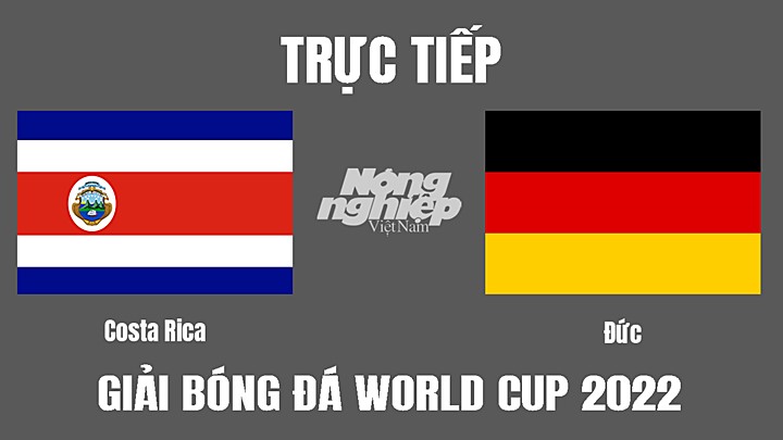 Trực tiếp bóng đá World Cup 2022 giữa Costa Rica vs Đức ngày 2/12/2022