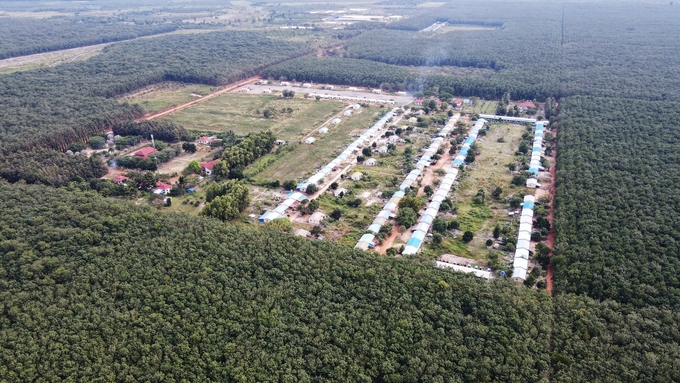 The worker housing area deep in the vast green rubber plantation.