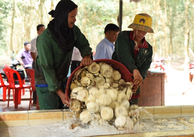 The lives of people in localities have changed for the better after working as rubber workers.