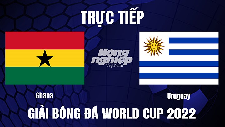 Trực tiếp bóng đá World Cup 2022 giữa Ghana vs Uruguay hôm nay 2/12/2022