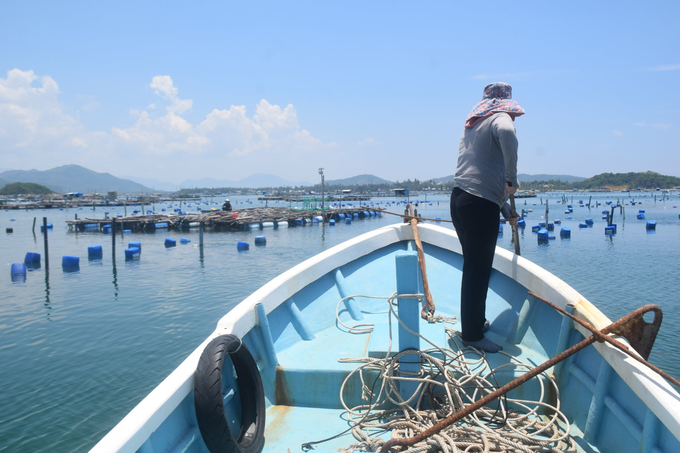 Nhập chú thích ảnh