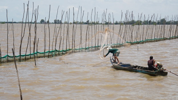 Farmers in Dong Thap Province catch wild fish and raise shrimp during the flooding season. Embankments supported by the World Bank help the farming area withstand the floods while capturing the rich floodwater to nourish the crop.