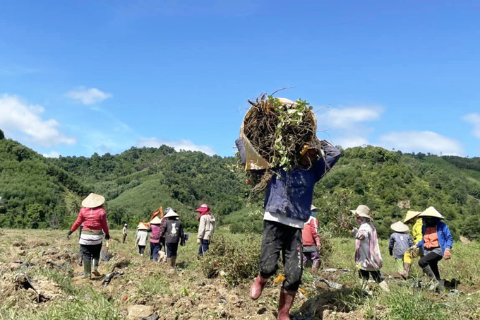 Dự án 'Làng hòa bình Việt Nam - Hàn Quốc' tại huyện miền núi A Lưới được kỳ vọng mở ra nhiều cơ hội cho đồng bào thiểu số tại địa phương. Ảnh: Công Điền.