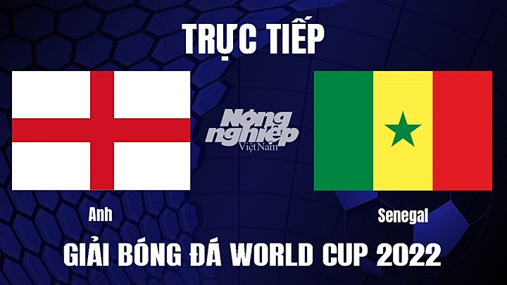 Trực tiếp bóng đá vòng 1/8 World Cup 2022 giữa Anh vs Senegal ngày 5/12/2022