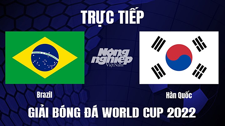 Trực tiếp bóng đá vòng 1/8 World Cup 2022 giữa Brazil vs Hàn Quốc hôm nay 6/12/2022