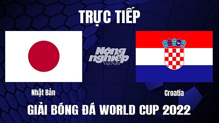 Trực tiếp bóng đá vòng 1/8 World Cup 2022 giữa Nhật Bản vs Croatia hôm nay 5/12/2022