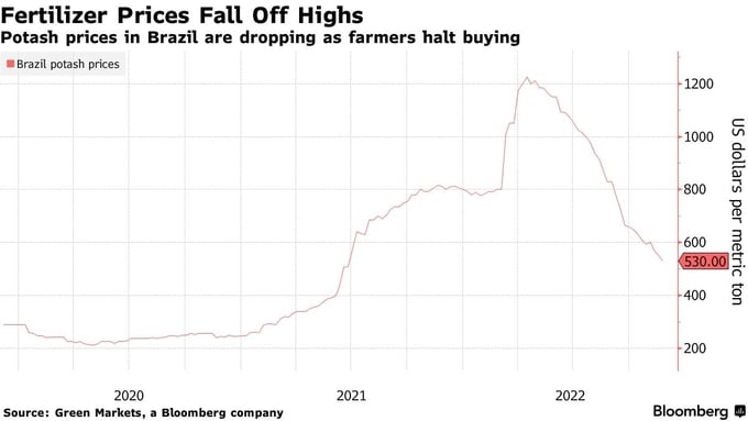 Giá phân kali tại Brazil giảm tương đối so với hồi đầu năm nhưng nguyên nhân không phải do nguồn cung dư thừa mà do nông dân ngừng mua sắm. Đồ họa: Green Market