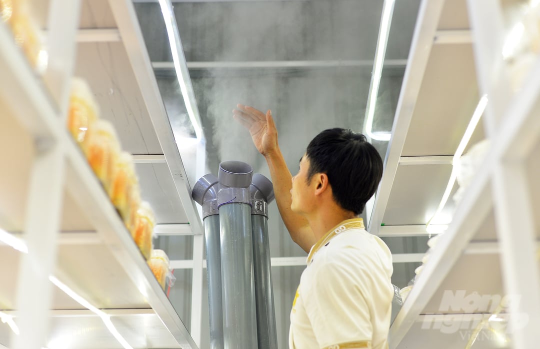Để đảm bảo sự sinh trưởng của nấm đông trùng hạ thảo, anh Huỳnh Văn Nghĩa phải lắp đặt hệ thống chiếu sáng bằng đèn led, hệ thống xông hơi để tạo độ ẩm và lắp đặt các máy điều hòa để đảm bảo nhiệt độ.
