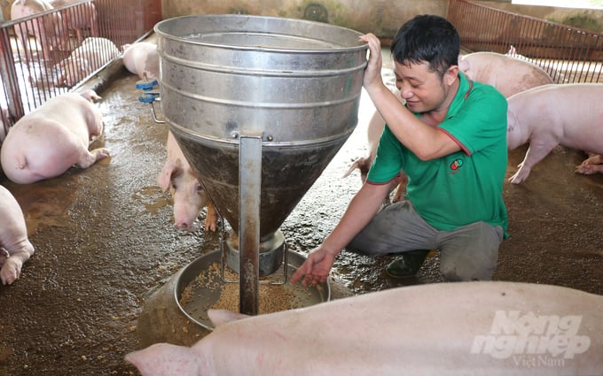 Anh Trần Đình Ngọc là gương điển hình chăn nuôi giỏi ở khu vực vùng cao Nghệ An. Ảnh: VK.
