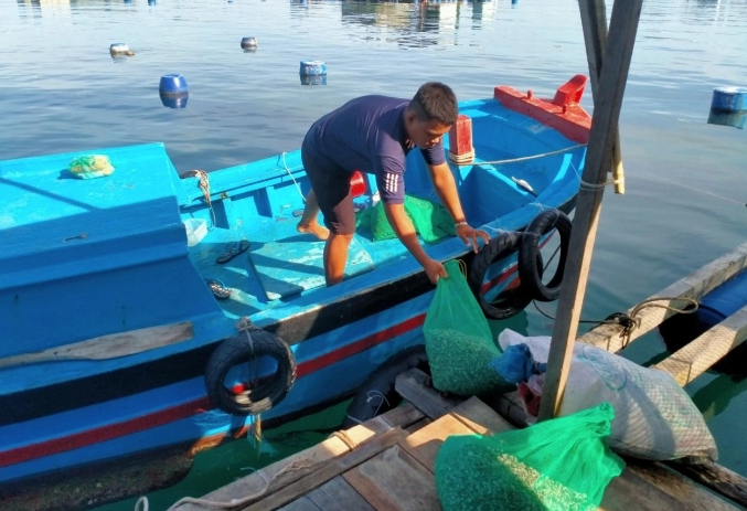 Người dân sử dụng túi lưới đựng thức ăn cho tôm để hạn chế rác thải nhựa vứt xuống biển gây ô nhiễm môi trường. Ảnh: KS.
