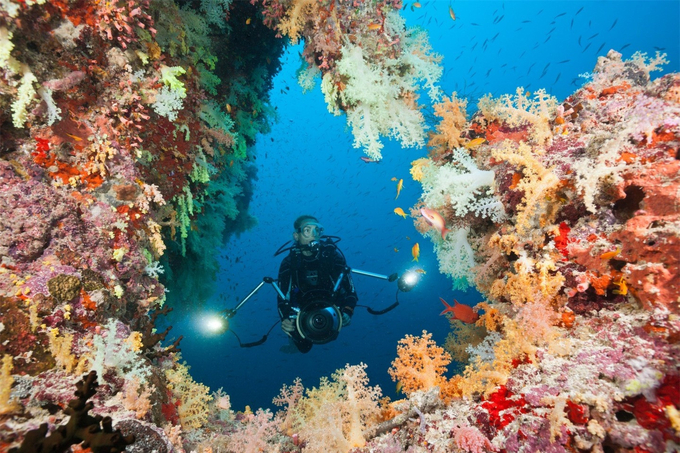 Hãy khám phá và bảo vệ hệ sinh thái san hô nào, để bảo tồn đại dương xanh ngát trên hành tinh này. Hình ảnh liên quan sẽ khiến bạn nhận ra rằng chúng ta cần hành động để bảo vệ tài nguyên thiên nhiên.