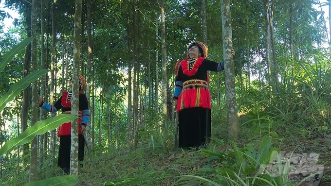 Người dân ở thôn Tân Thành giàu lên từ trồng rừng. Ảnh: Toán Nguyễn.