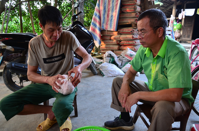 Anh Nguyễn Quang Phúc đang bổ bưởi đãi khách. Ảnh: Dương Đình Tường.