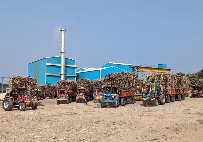Tractor trollies loaded with harvested sugar cane are parked outside a jaggery making unit in Latur district, in the western state of Maharashtra, India, December 4, 2022. Photo: REUTERS/Rajendra Jadhav