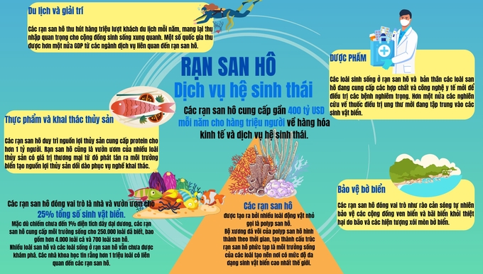 Cần có những hành động cụ thể để bảo vệ các rạn san hô.