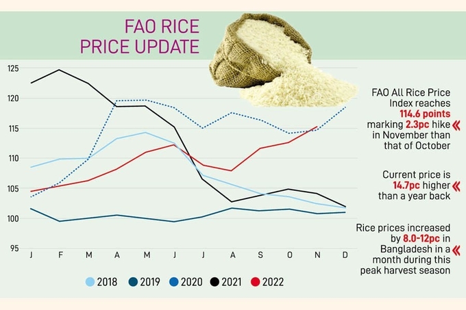 Biểu đồ mô tả giá gạo của FAO