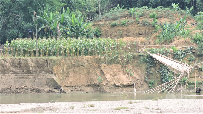 Một đoạn sông tại xã Bành Trạch, huyện Ba Bể đang sạt lở. Ảnh: Toán Nguyễn