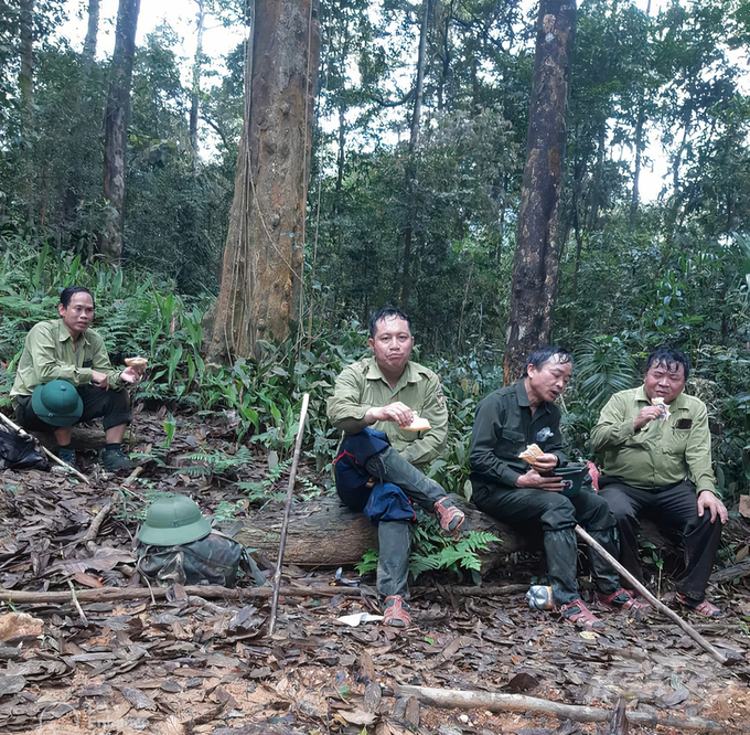 Chính sách, chế độ của lực lượng bảo vệ rừng chuyên trách trên địa bàn Nghệ An vô cùng bèo bọt, người lao động không sống nổi với nghề. Ảnh: Việt Khánh.