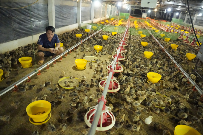 Tại diễn đàn, đại diện công ty CJ Bio Việt Nam khuyến nghị về việc giới hạn tỷ lệ đạm thô trong thức ăn chăn nuôi, nhằm cải thiện lợi ích kinh tế cho người chăn nuôi và bảo vệ môi trường nhờ giảm khí nhà kính phát thải từ nông nghiệp và chăn nuôi. Ảnh: Hồng Thuỷ.