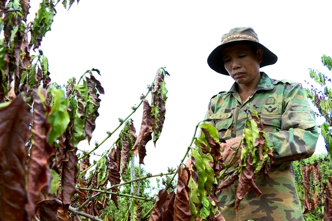 Gia Lai đưa ra nhiều giải pháp, tránh tình trạng thiếu nước tưới vào mùa khô. Ảnh: Đăng Lâm.