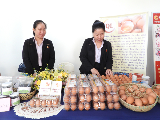 Sản phẩm trứng gà xuất khẩu của Tây Ninh. Ảnh: Trần Trung.