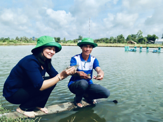Ms. Quach Thi Thanh Binh, Director of Soc Trang Province\'s Sub-Department of Fisheries, inspecting the shrimp farming model at Hoa De Agriculture and Fisheries Cooperative in Hoa Phung Hamlet, Hoa Tu 1 Commune, My Xuyen District. Photo: Trong Linh.
