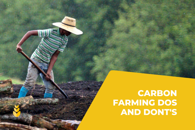 Agriculture continues to evolve in practice and purpose. Carbon offset farming or the practice of sequestering carbon in agricultural soils is on the rise due to multiple factors related to the environment and farm profit.