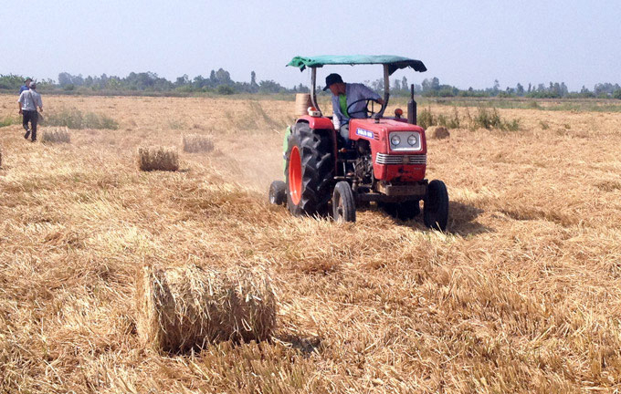 Nông dân miền Tây Nam bộ ứng dụng máy cuộn rơm rạ để thu hoạch rơm khô.
