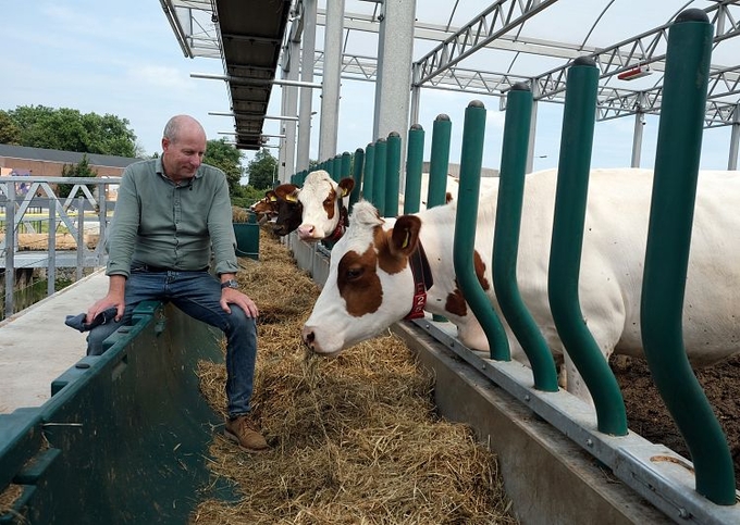 Anh Peter van Wingerden ngồi bên đàn bò sữa tại trang trại nổi ba tầng ở cảng Rotterdam. Ảnh: AP