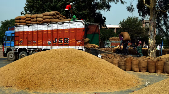 Workers load wheat at a wholesale market in New Delhi: The imposition of restrictions covering the majority of India's grain exports was irresponsible and futile. Photo: Hindustan Times/Getty Images