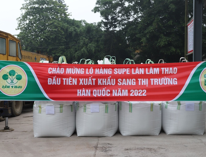 Chuyến hàng năm 2022 đi Hàn Quốc. Ảnh: Lâm Thao.