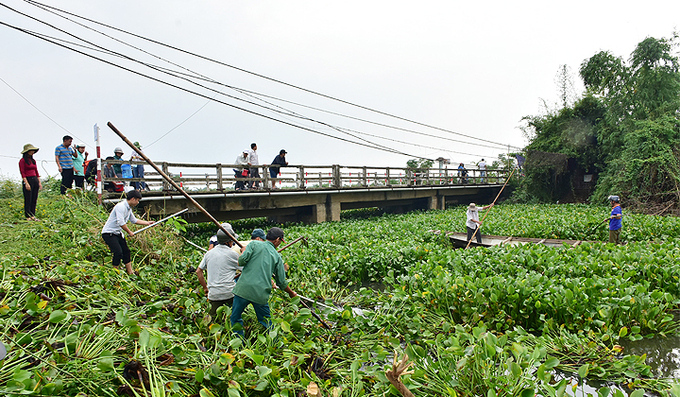 Bèo rác nỗi lo của các công trình thủy lợi đặc biệt vào mùa mưa lũ. 