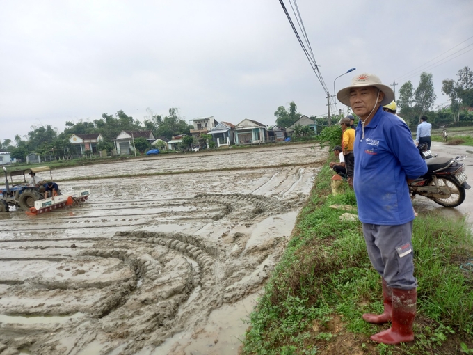 Mô hình sạ lúa theo cụm bằng máy do Trung tâm Khuyến nông Bình Định triển khai tại thị xã An Nhơn trong vụ đông xuân 2022-2023. Ảnh: N.C.