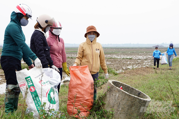 Thu gom bao gói thuốc bảo vệ thực vật sau sử dụng. Ảnh: VD.